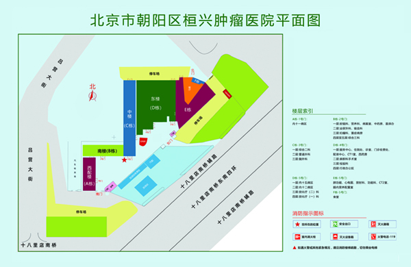 男女干插鸡视频北京市朝阳区桓兴肿瘤医院平面图